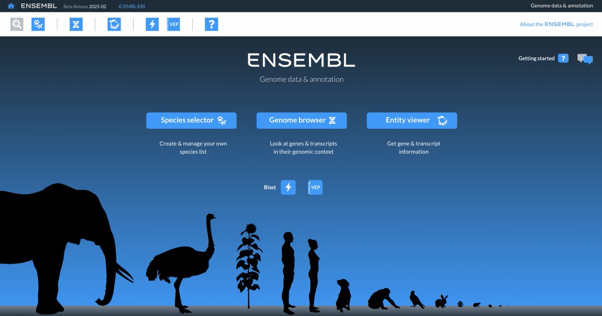 Ensembl tweet media