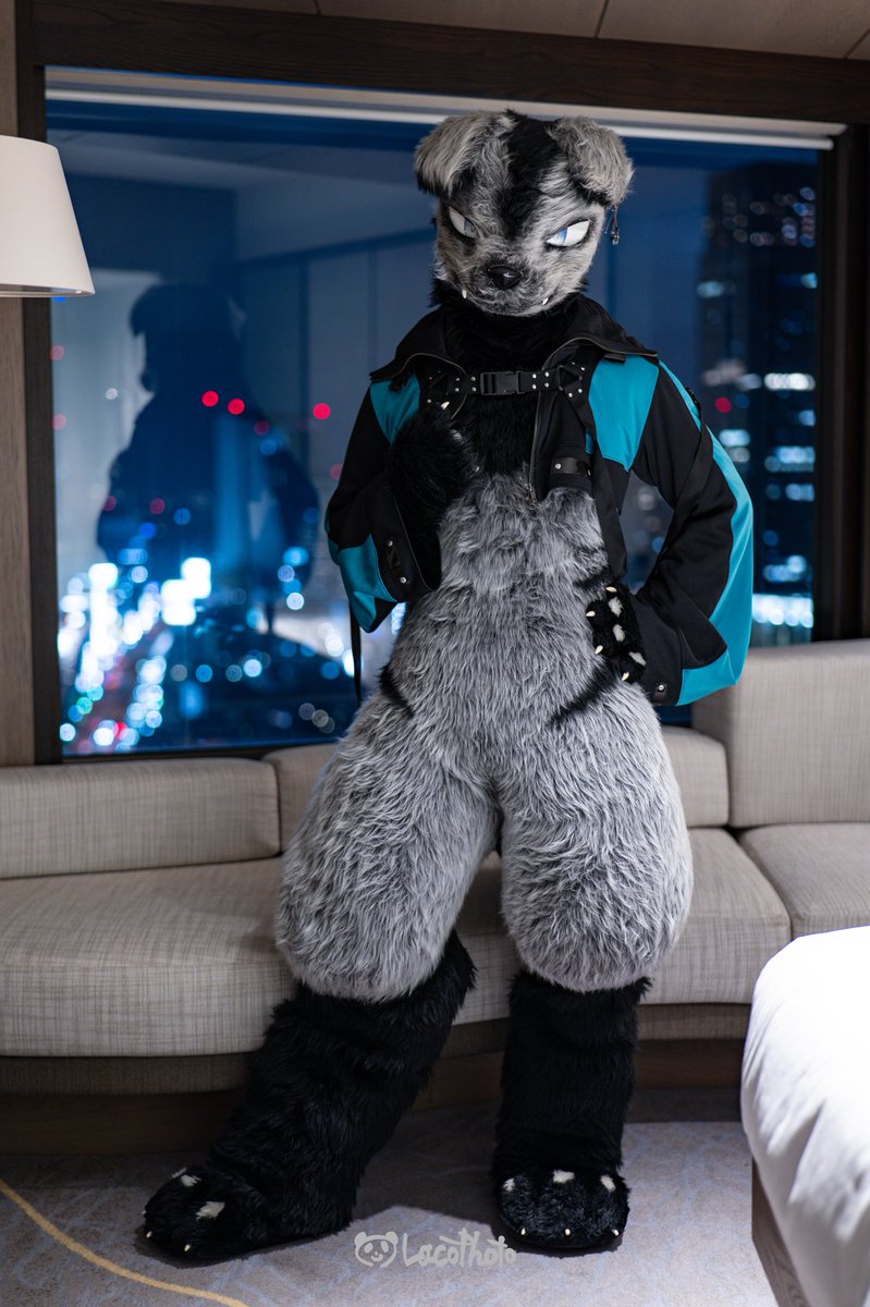 Garo🐾 tweet media