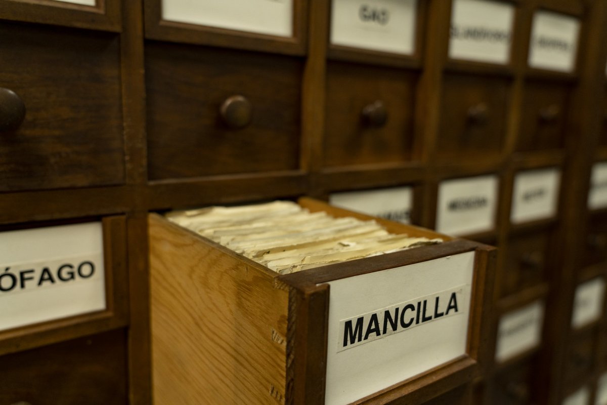 La RAE pone a disposición de los interesados la consulta en línea de las imágenes de las 260 439 papeletas que conforman el Fichero de hilo («a-zuzón»), un gran depósito léxico ahora al alcance de todos: ow.ly/4uA750WmcPN.