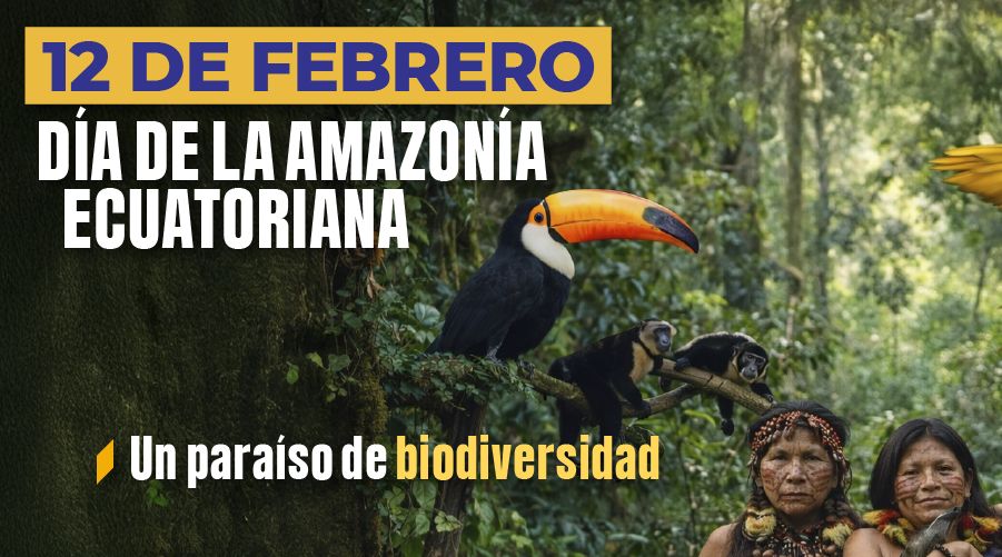 AgrocalidadEC's tweet photo. En el #DíaDeLaAmazoniaEcuatoriana reiteramos nuestro compromiso de velar por la inocuidad de los productos que provienen de esta región, promoviendo prácticas  responsables y sostenibles. https://t.co/5xpWkRUKEL