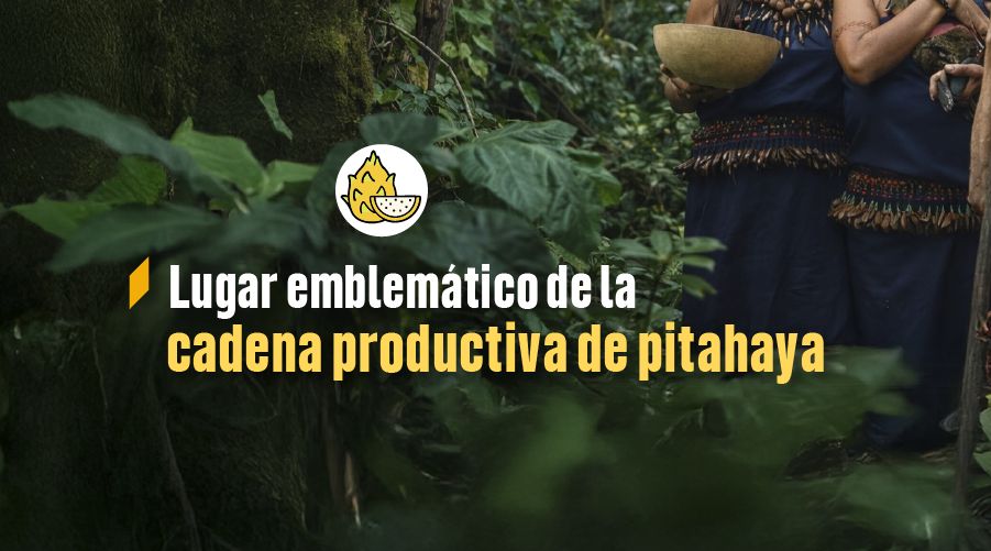 AgrocalidadEC's tweet photo. En el #DíaDeLaAmazoniaEcuatoriana reiteramos nuestro compromiso de velar por la inocuidad de los productos que provienen de esta región, promoviendo prácticas  responsables y sostenibles. https://t.co/5xpWkRUKEL