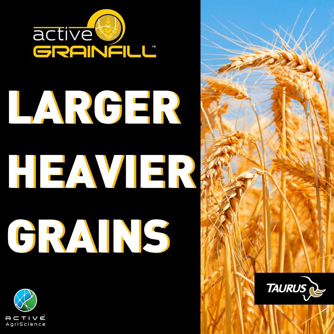 Taurus Ag tweet media