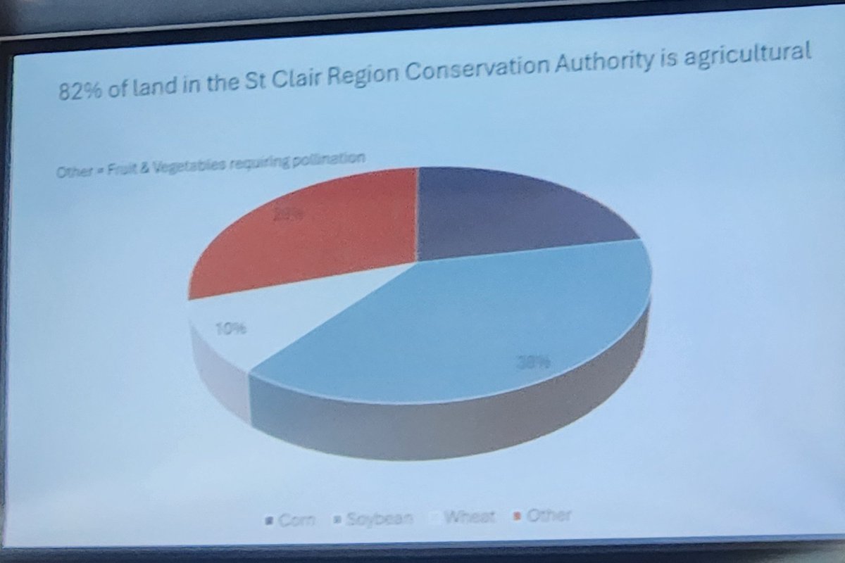 St. Clair SCIA tweet media