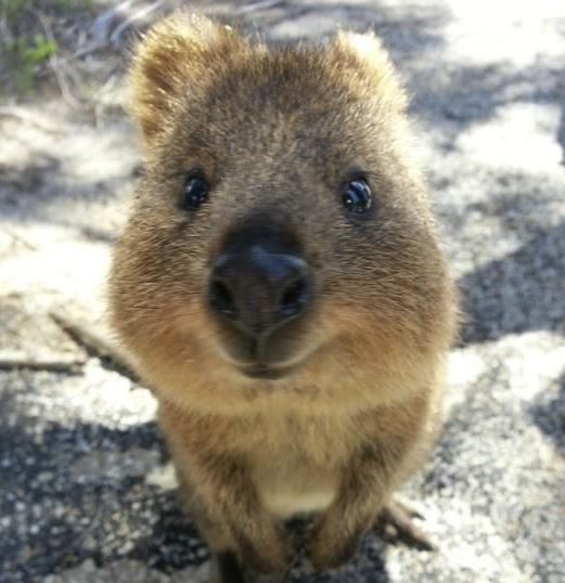 kinda⚽︎ tweet media