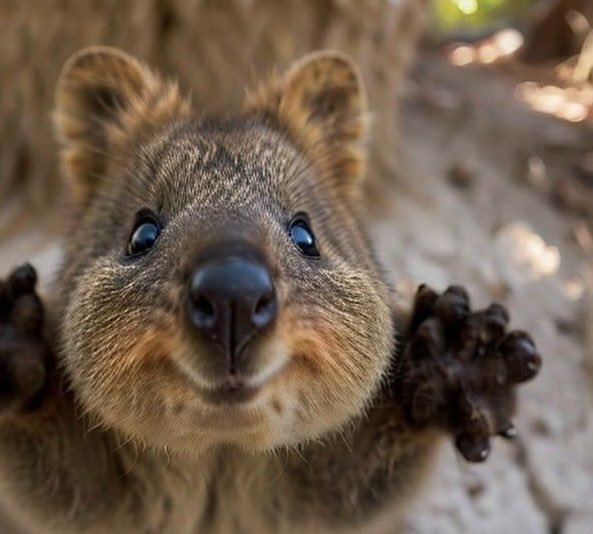 kinda⚽︎ tweet media