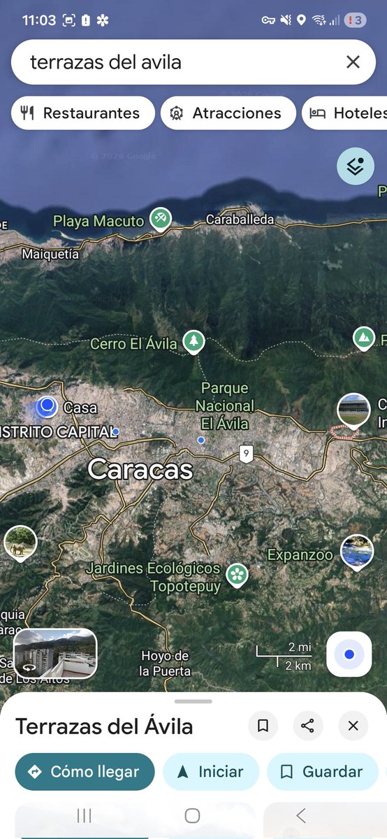 José David 🦁 tweet media