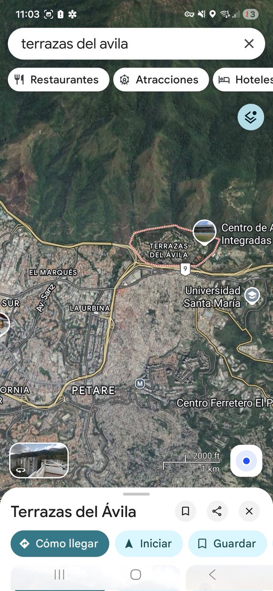 José David 🦁 tweet media