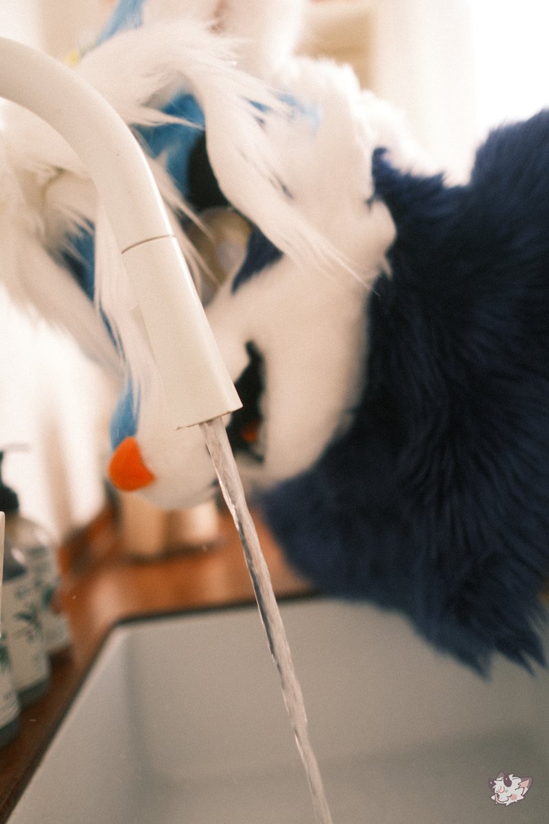 NyongShin's tweet photo. πμ, λ¬Ό λ§μ
λ¬Ό
#FursuitFriday #Fursuit #Haeil
π·: @YN971106 https://t.co/2bhlQfqVXT