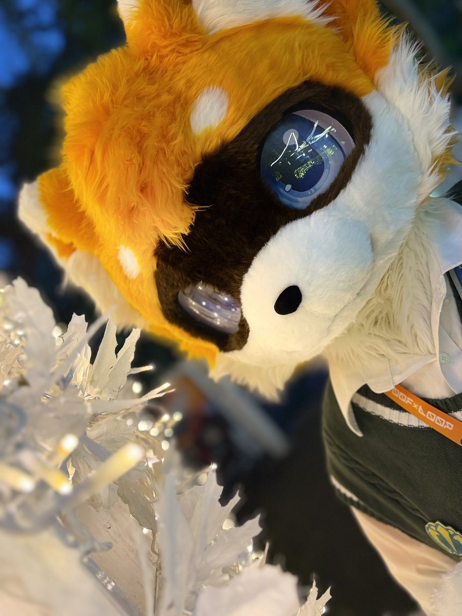 ヘリオ☀️ (@helio0105) / Posts / X