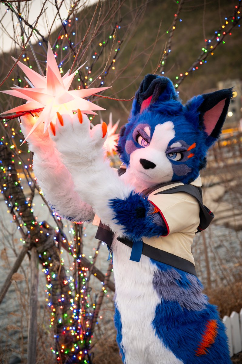 Sparrow🐦 ➡️Furstclass tweet media