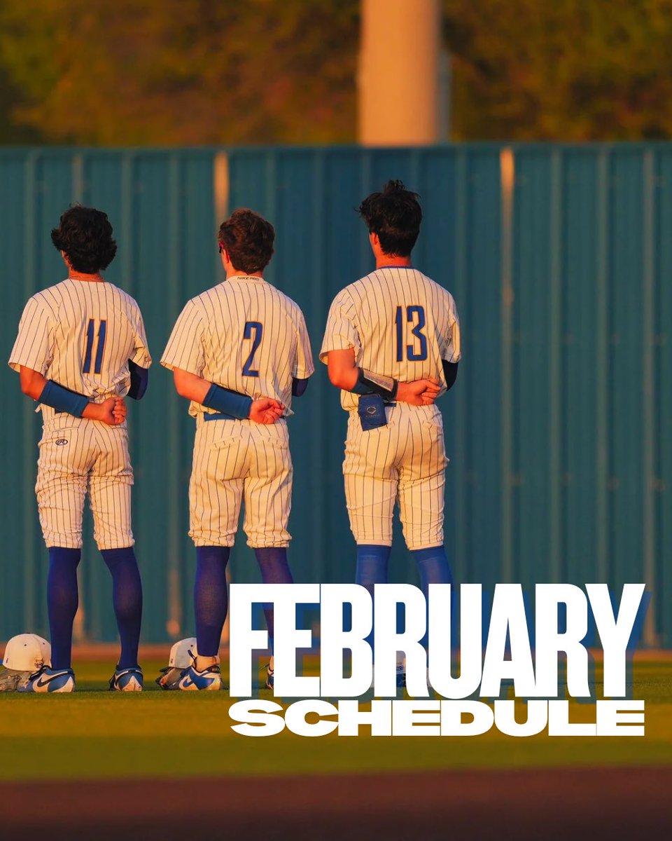 Raccoon Baseball tweet media