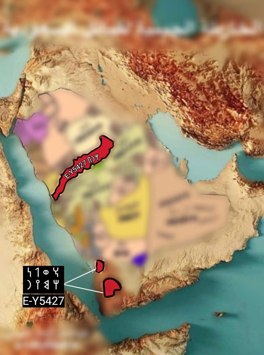 خارطة جينية لقبائل التحور الحميري E-Y5427
بعض قبائل التحور الحميرية اليمنية 🇾🇪 :
-قبيلة حرب الخولانية اليمنية
-بني مالك سحار صعدة
-سحار الشام
-خولان الطيال وخولان الصغرى
-شرعب السلام
-ريمة
-شمير
-البطيني المنبهي صعدة
-وصاب الأسفل ذمار
-وصاب العالي ذمار
-الرازحي
-بعدان إب
-المعافر