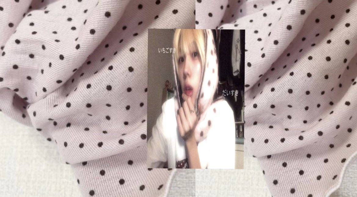 ๑͏♪❤︎ sofia ⚢ tweet media