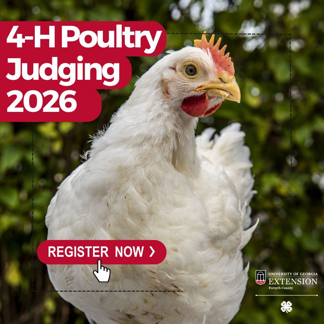 Forsyth County 4-H, Georgia tweet media