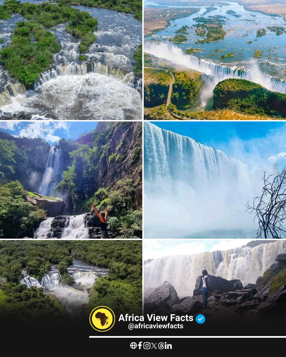 Africa View Facts tweet media