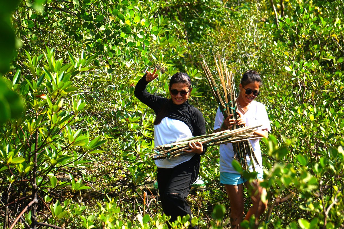 ECLOF_1946's tweet image. Tree Planting Initiative in Philippines becomes ECLOF’s most viewed post of 2025: surpassing 3,500 reads!

Best part: the mangrove seedlings planted are already growing 

Read story: eclof.org/most-viewed-bl…
@ECLOF_1946  

#eclof  #ClimateAction #PartnershipGoals #LifeOnLand
