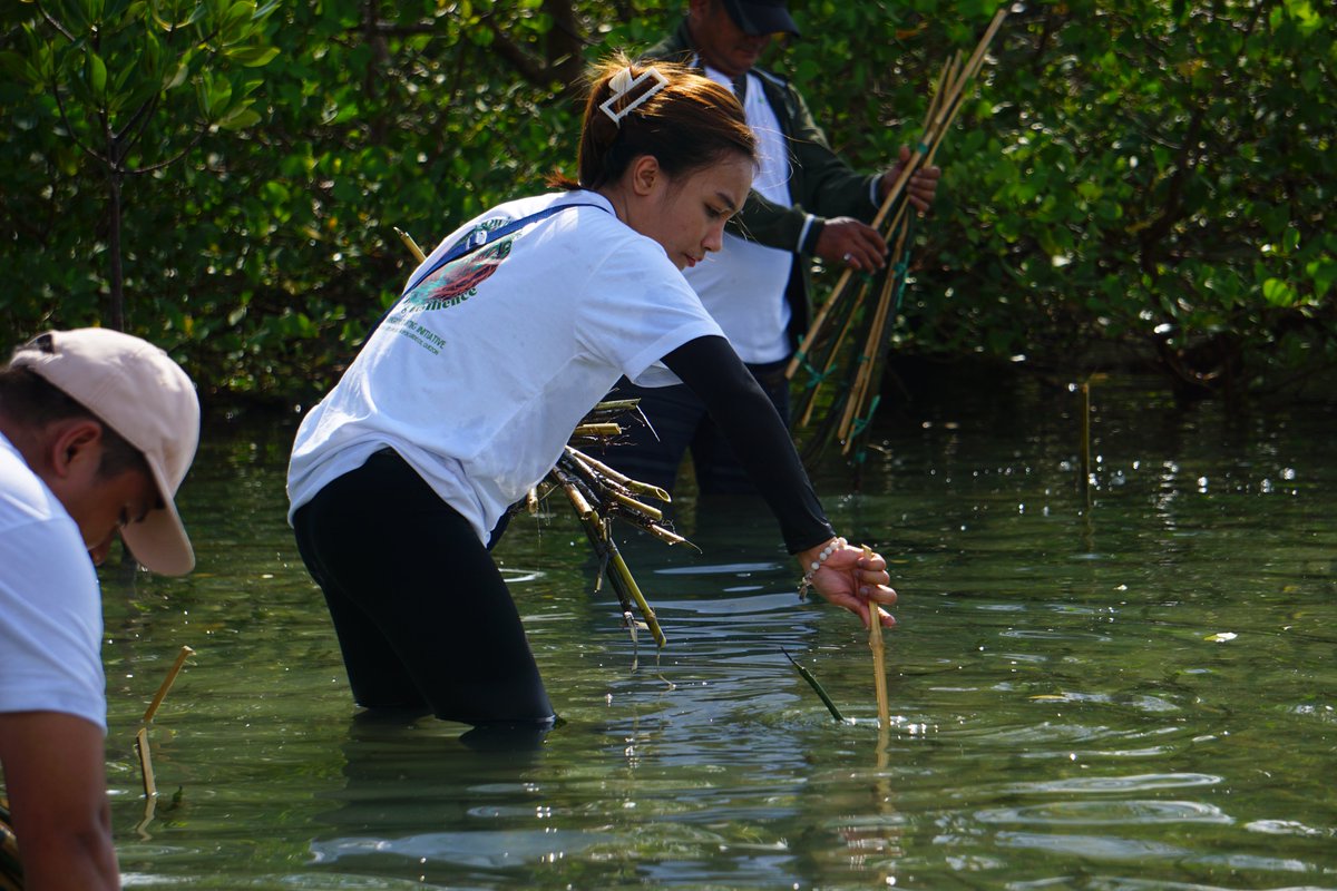 Tree Planting Initiative in Philippines becomes ECLOF’s most viewed post of 2025: surpassing 3,500 reads!

Best part: the mangrove seedlings planted are already growing 

Read story: eclof.org/most-viewed-bl…
<a href="/ECLOF_1946/">ECLOF International</a>  

#eclof  #ClimateAction #PartnershipGoals #LifeOnLand