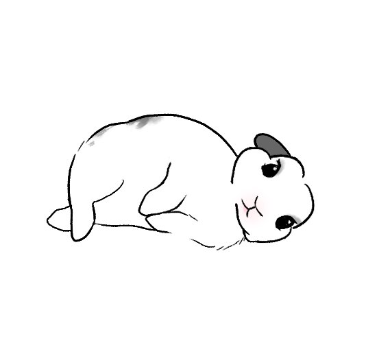 톡겨농장 tweet media