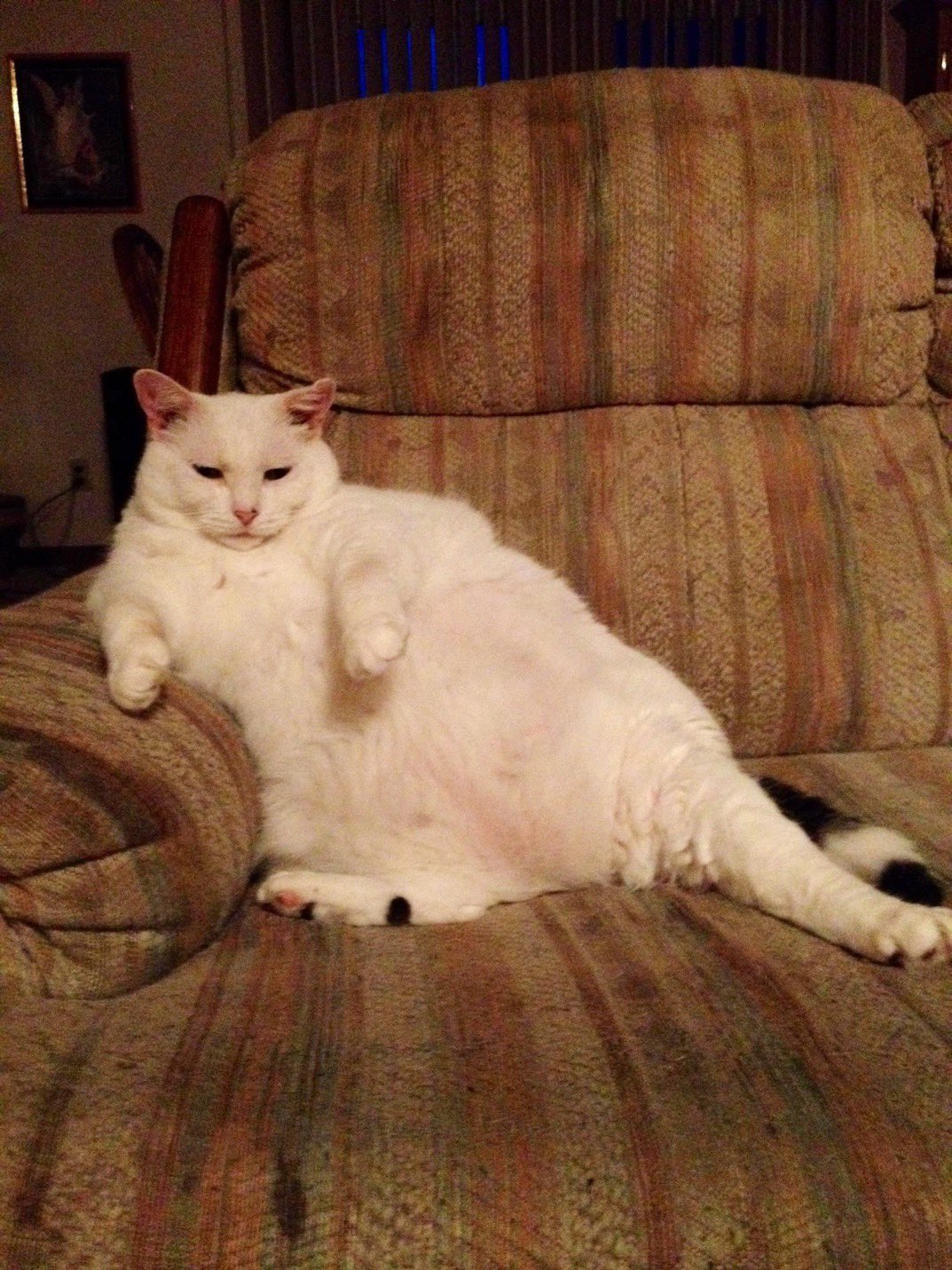 Paul Bronks (@SlenderSherbet) on X