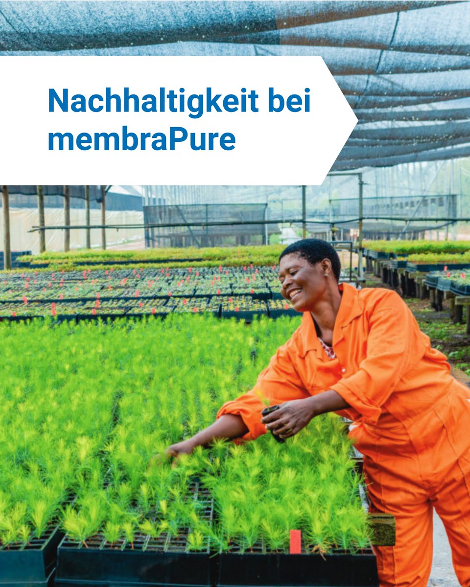 membraPure tweet media