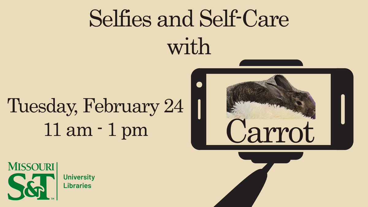 SandTLibrary's tweet image. THIS IS NOT A DRILL!!!! You can indeed come to the library to see the infamous bunny, CARROT. The bunny, the myth, the legend. #sandtlibrary #carrot #bunny