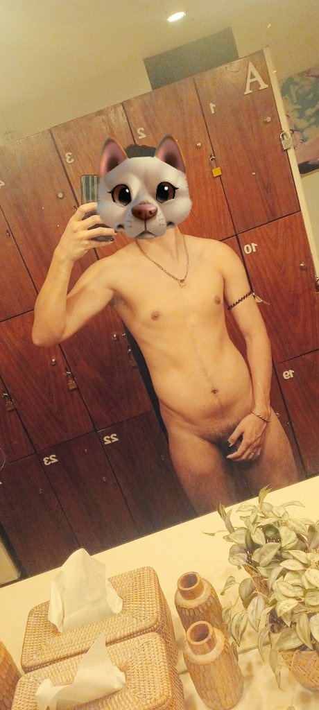 ⭐️🐶กลุ่มดาวหมา🐺⭐️ tweet media