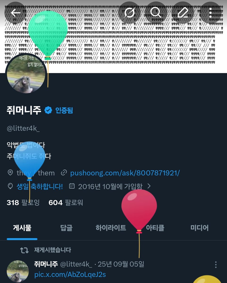 쥐머니주 tweet media