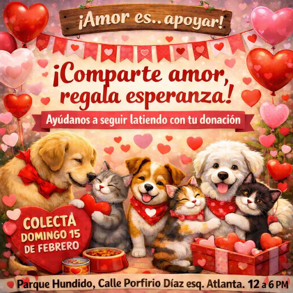 Perrosenlacalle's tweet photo. Hola familia bonita❤️ por motivos importantes de salud desde hace varias semanas no había hecho  campaña de adopción y colecta de croquetitas para mis peluditos rescatados, por lo que pido por favor su apoyo con alimento para ellos 🐶😸 este día del amor y la amistad. Ellos son el mayor ejemplo de estos valores y merecen lo mejor. Estaremos este Domingo 15 de Febrero en Parque Hundido, calle Porfirio Díaz esquina Atlanta,  alcaldía Benito Juárez CDMX de 12:00 a 6:00 p.m. agradecemos de antemano tu apoyo para ellos  🙏 🐕‍🦺😻 Adopta y apoya por por amor ❤️, gracias y bendiciones 🫂 💯🍀
