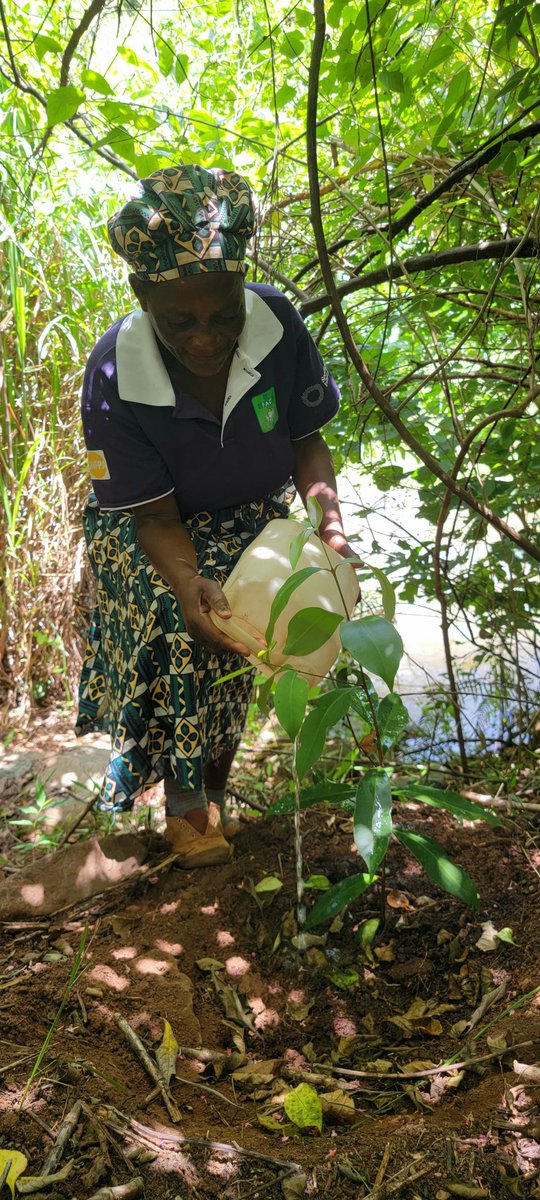 TSURO Trust tweet media