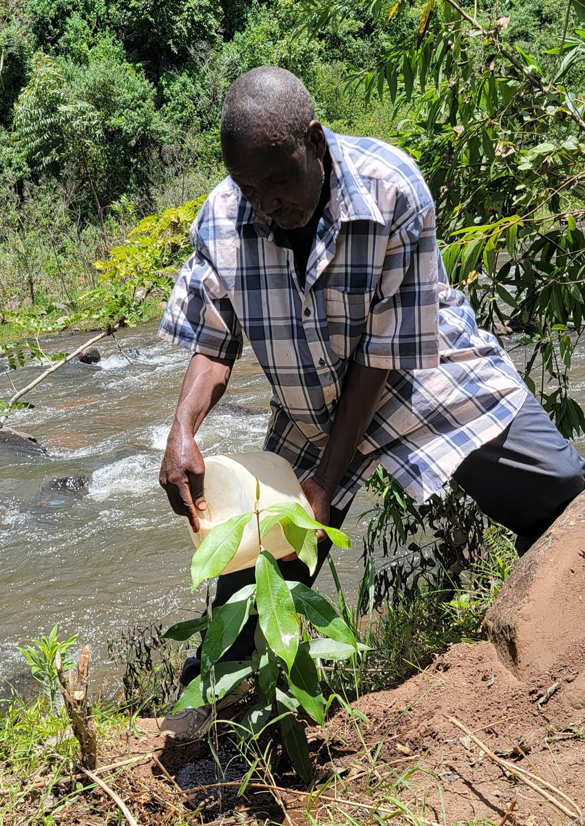 TSURO Trust tweet media