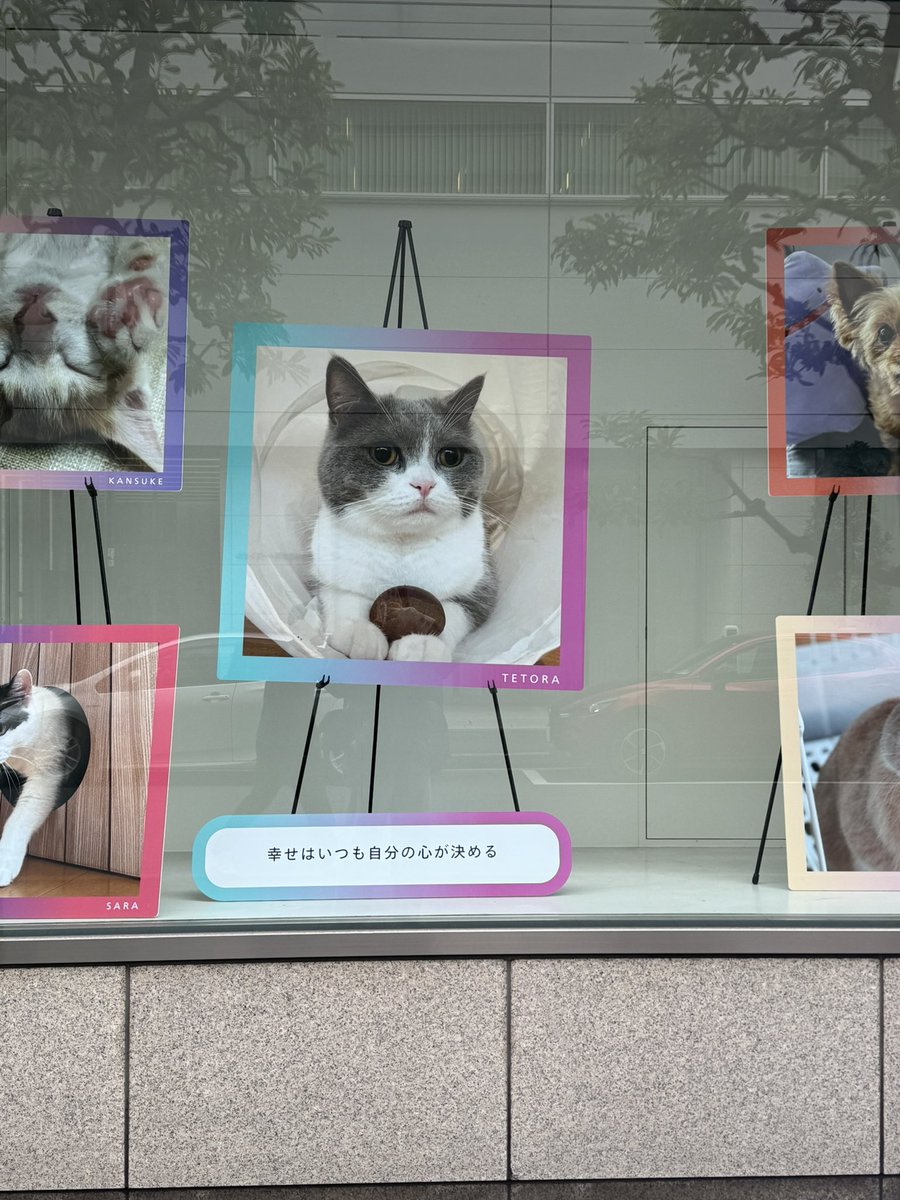 げろみ不動産 tweet media