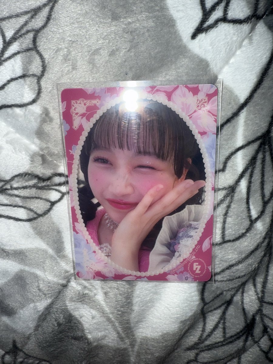 ぽむぱむ tweet media