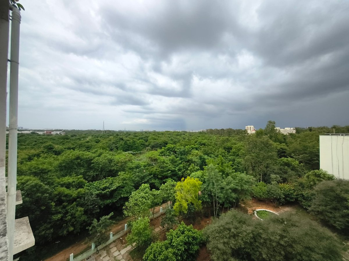 HydUniv's tweet image. The pictures contributed by Abhishek Roychowdhury for the University Calendar 2026

#uohcalendar #calendar2026 #calendars #floraandfauna #pictureoftheday #UoHCampus #wildlifephotography #UNIVERSITY #UOH