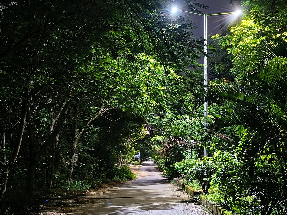 HydUniv's tweet image. The pictures contributed by Abhishek Roychowdhury for the University Calendar 2026

#uohcalendar #calendar2026 #calendars #floraandfauna #pictureoftheday #UoHCampus #wildlifephotography #UNIVERSITY #UOH