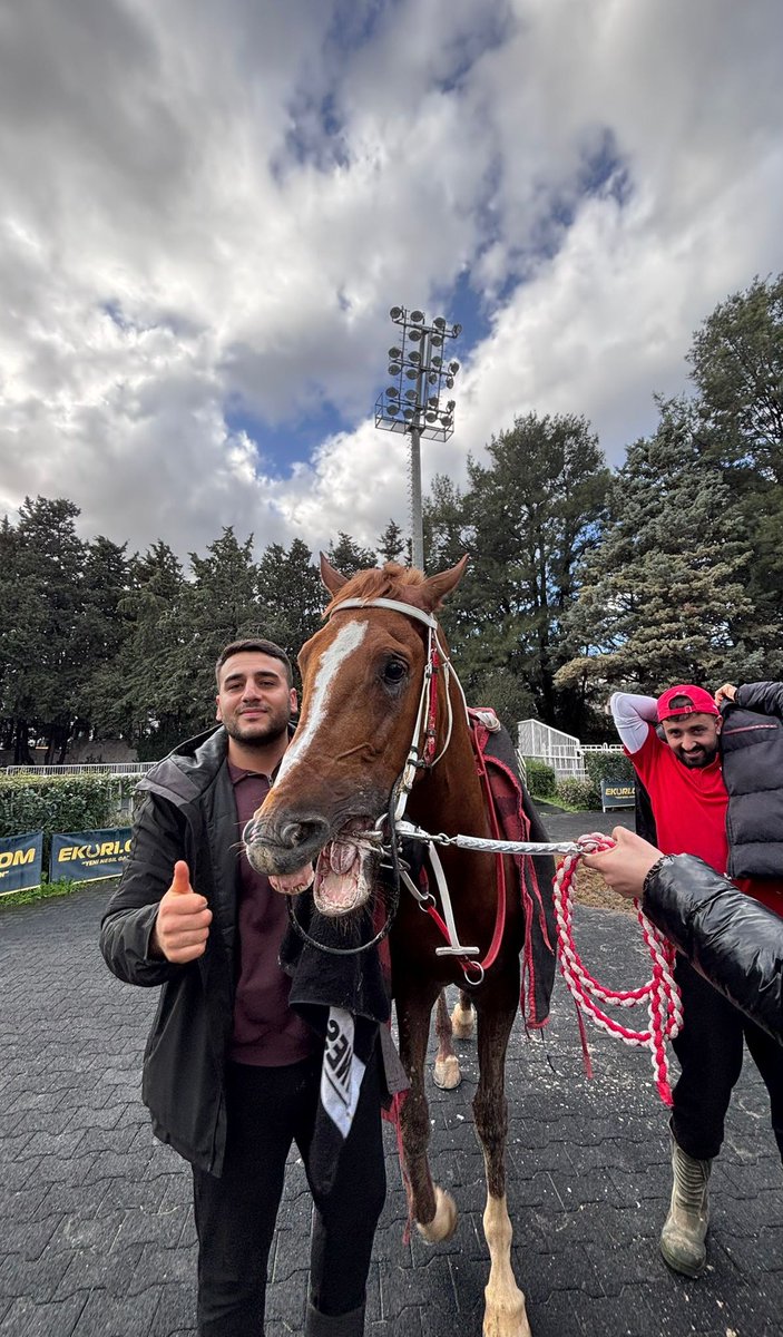 Sıdık Kaya tweet media