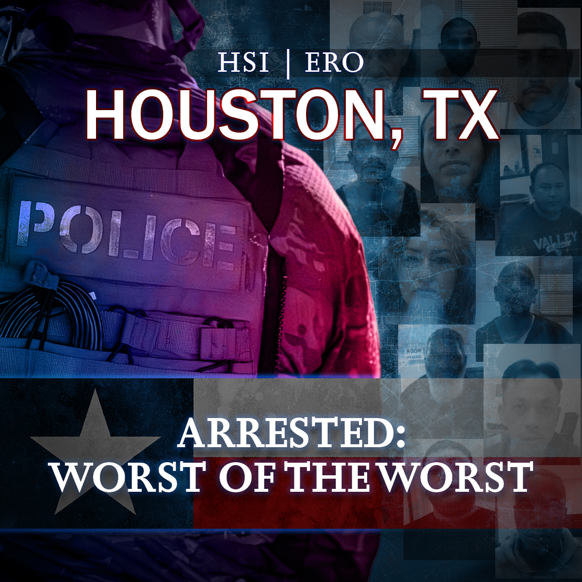 HSI Houston tweet media