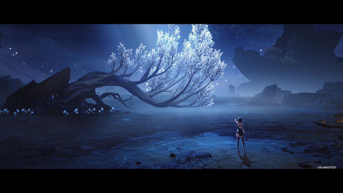 djscusa's tweet photo. Es un sitio precioso el árbol donde aparece #iuno
#WutheringWaves #WuWa #djscusa #FanScreenshots https://t.co/rmcQIrd7Ko