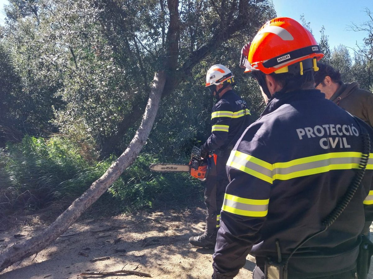 govern's tweet image. Aprovada una nova resolució per la qual es modifiquen determinades restriccions adoptades en el marc de l’activació del Pla #VENTCAT. 

🕗 La resolució manté vigents les mesures fins a les 20 hores d’avui, 12 de febrer.

🔗 Llegeix-ho aquí: gen.cat/4kusbou