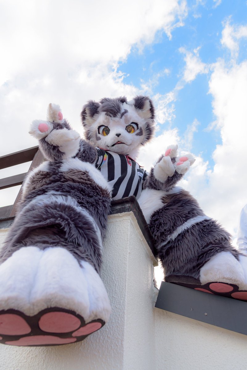 #FursuitFriday
こっちにおいで♪