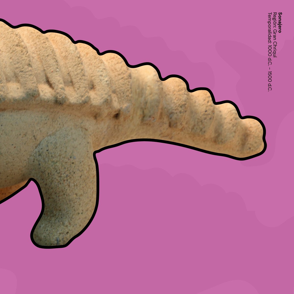 El tercer sábado de febrero se celebra al pangolín, pero en nuestras tierras, otro ser acorazado camina con sigilo: el armadillo.

🌿¿Qué animales habitan tu memoria?