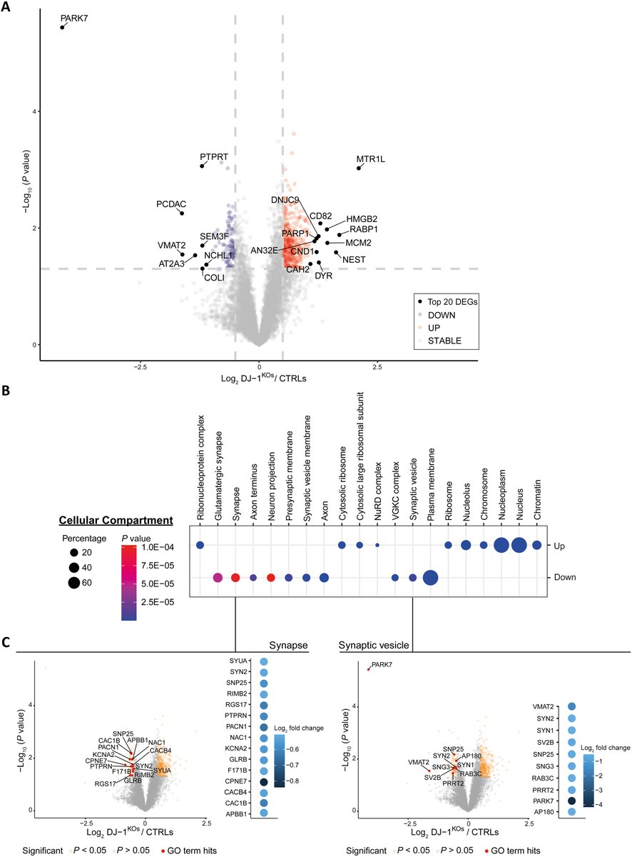 The Science of Parkinson's tweet media