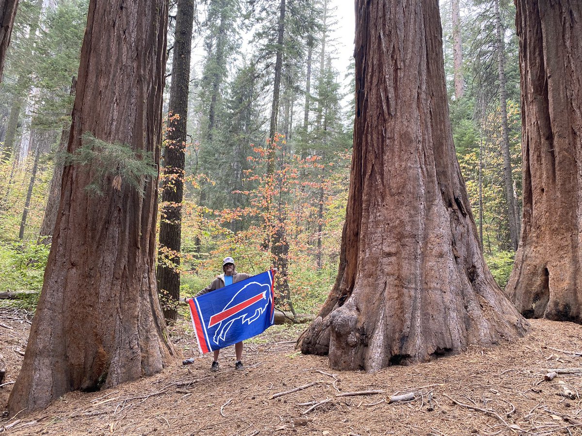 Bo Didlee tweet media