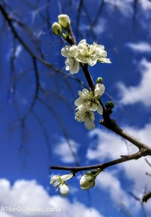 Il bello della natura 

ha sempre i suoi nuovi inizi...