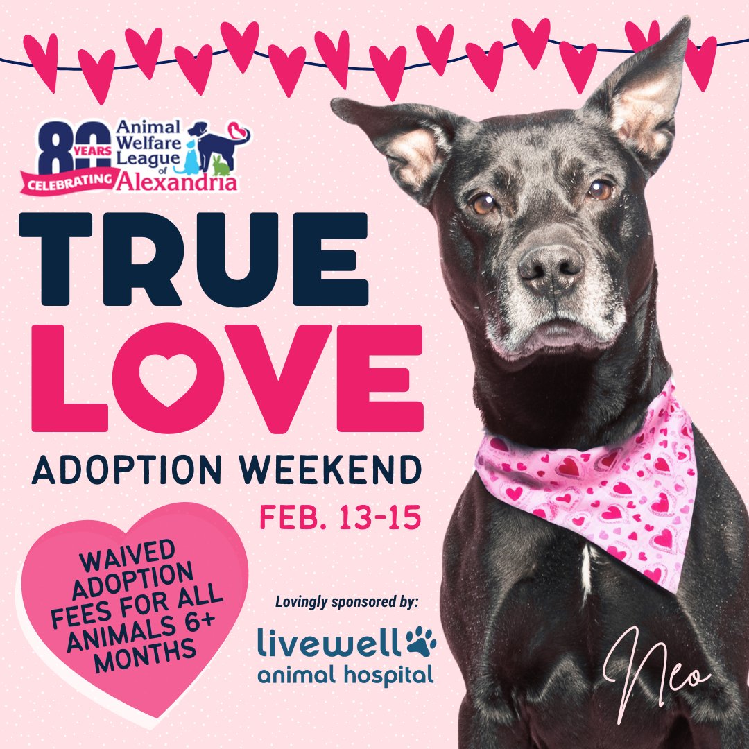 AWLA Alexandria tweet media