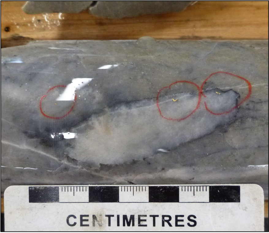 ToogoodGold tweet media