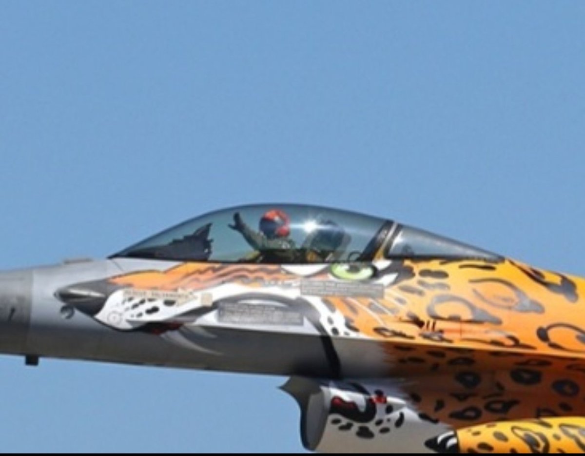 sipjack1776's tweet image. Caught ya! 😃👋
Portugal 🇵🇹 
F-16AM Fighting Falcon 
#497C2F/15116/VIPER41
#livery
@Borrowed7Time @JasonZicker @MRAIDANya