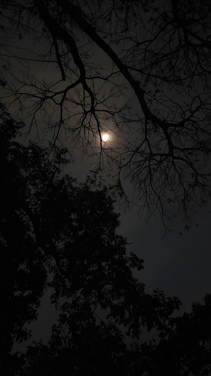 Healing 🩷
#NaturePhotography 
#NatureBeauty