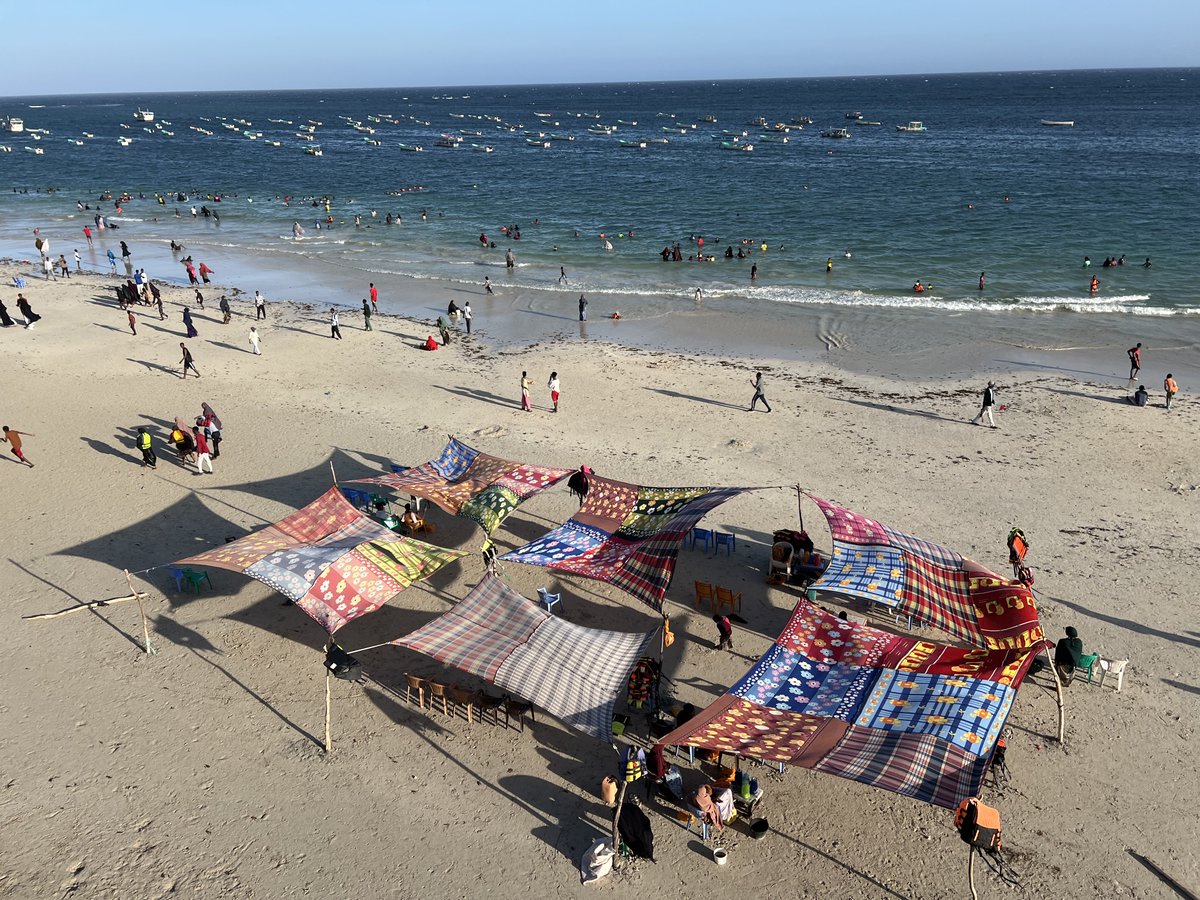 Untamed Borders tweet media