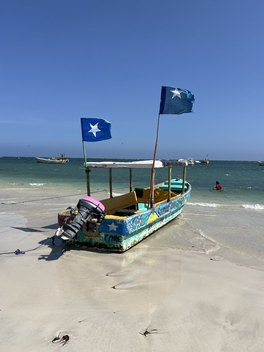 Untamed Borders tweet media