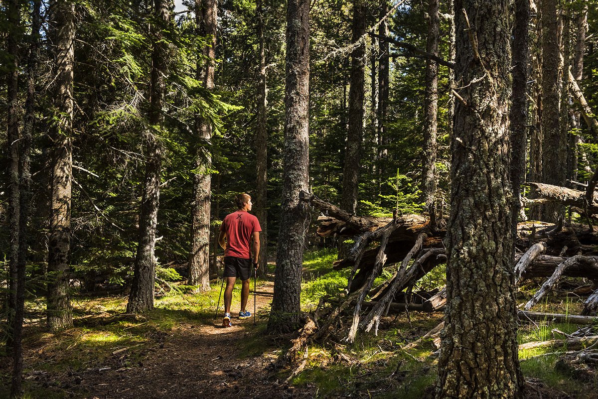 Marc Garriga 👣🐑🦇🏞️ tweet media